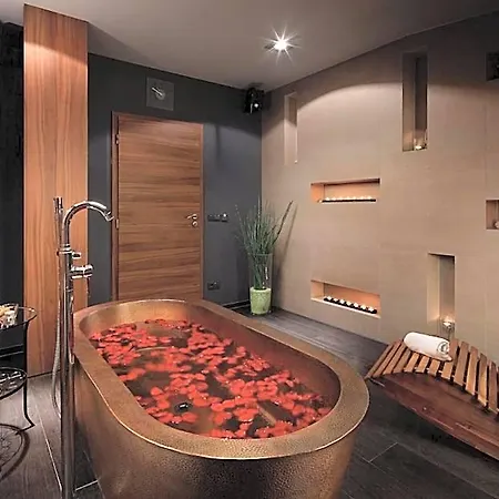 Spa Felicitas 4* Podebrady