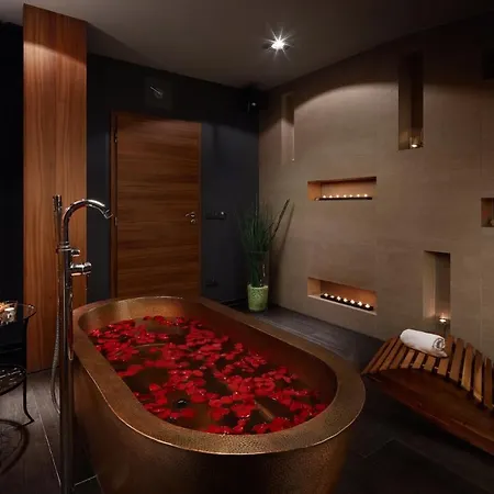 费利西塔斯spa酒店 波杰布拉迪